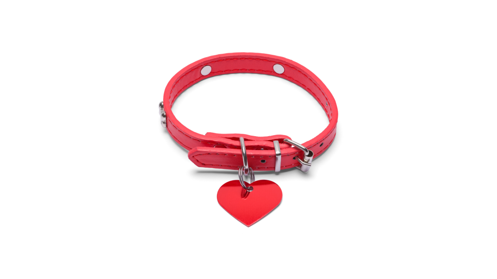 年末年始、愛犬・愛猫を守るための「迷子対策」チェックリスト (3)