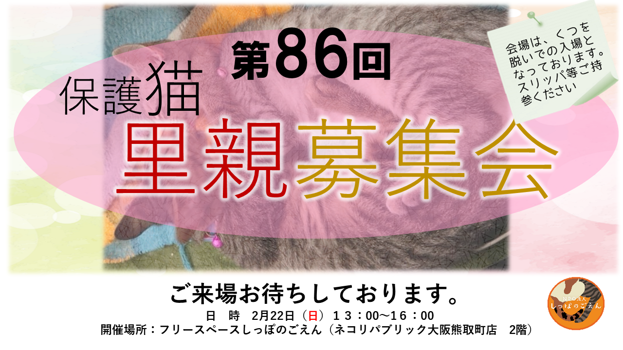 第86回里親募集会