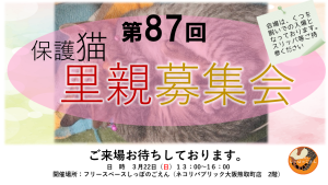 第87回里親募集会