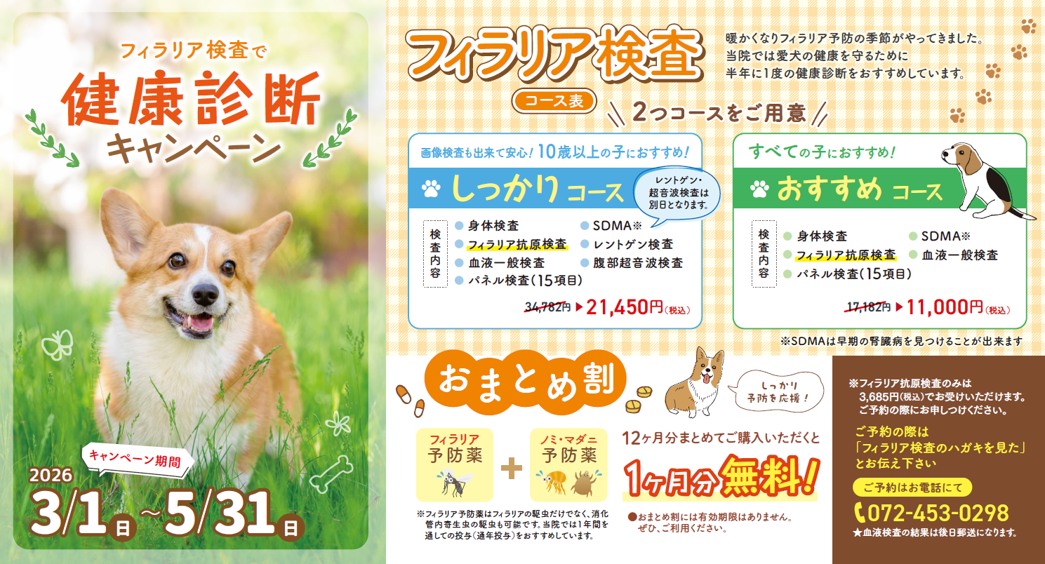 スクリーンショット 2026-02-22 101745