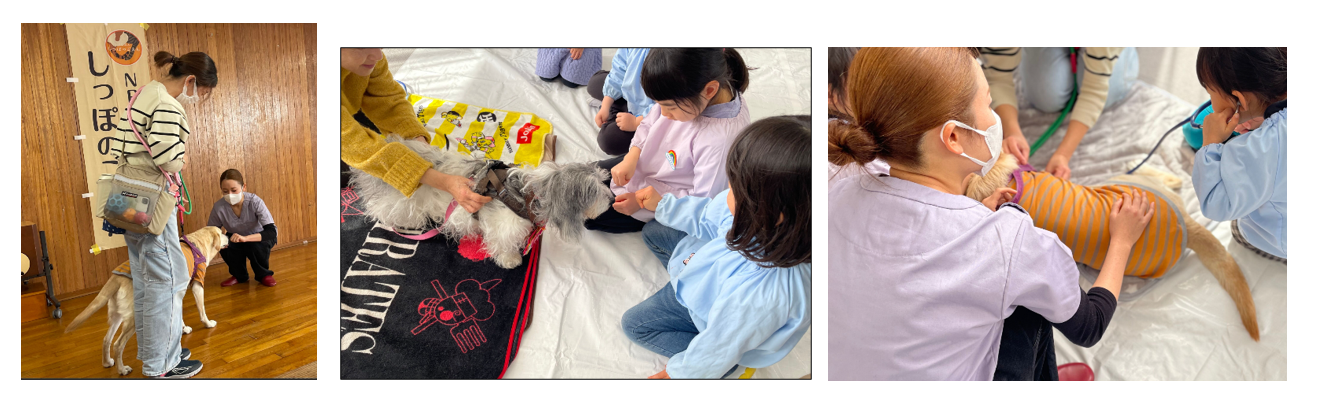 スクリーンショット 2026-03-23 134952