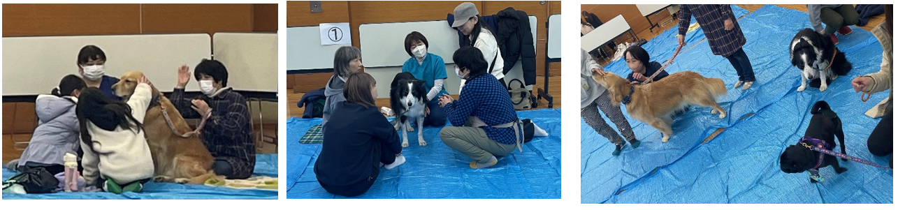 スクリーンショット 2026-03-01 075206