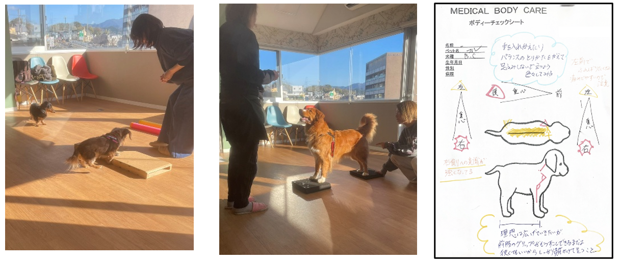 スクリーンショット 2026-03-01 075119